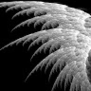 Meet your Posher, Haydon